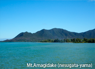 Mt.Amagidake(nesugata-yama)