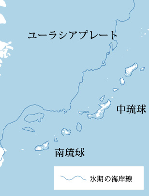 約200万年前~現在