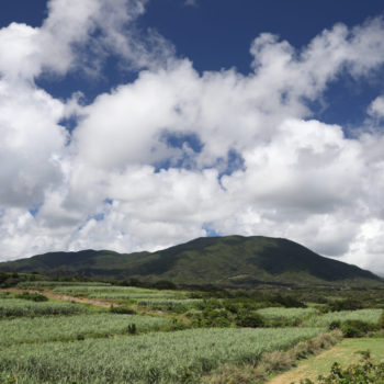 井之川岳