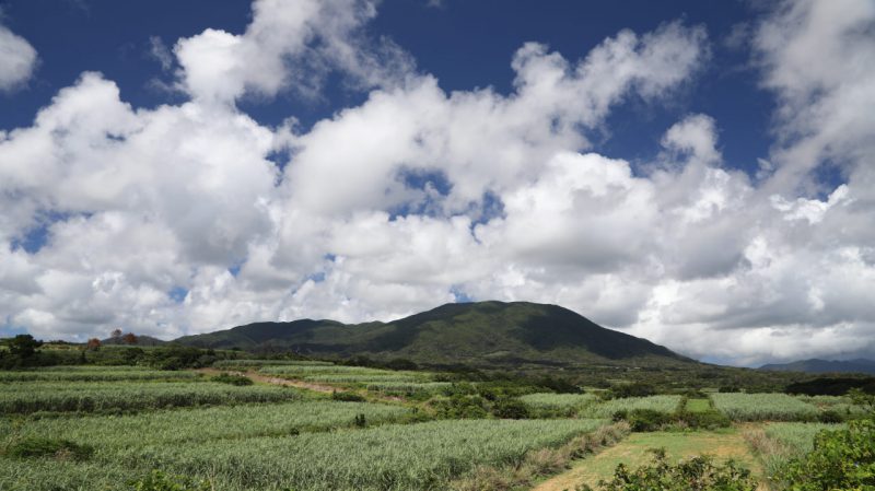 井之川岳