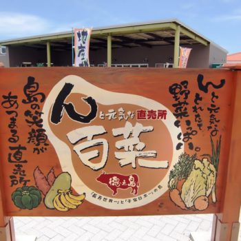 hyakusai001.jpg