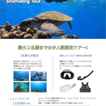 シュノーケルツアー徳之島