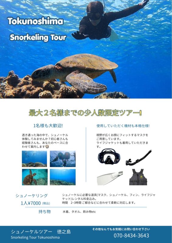 シュノーケルツアー徳之島